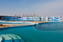 IMG_6242-9