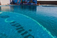 IMG_6249-16