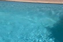 IMG-20160414-WA0054